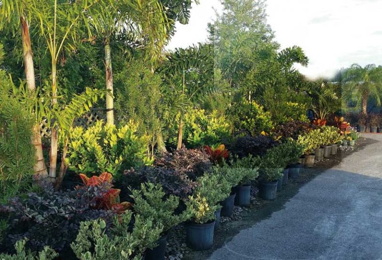 About us Canterbury Farms Nursery & Garden Center