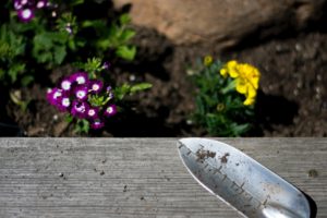 How to take care of your newly landscaped yard