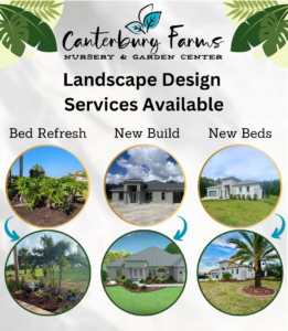 Landscape design summary of services