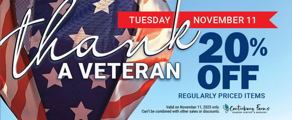 Veteran’s Day Sale